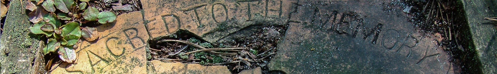 Random Header Image