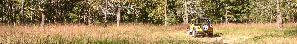 Random Header Image