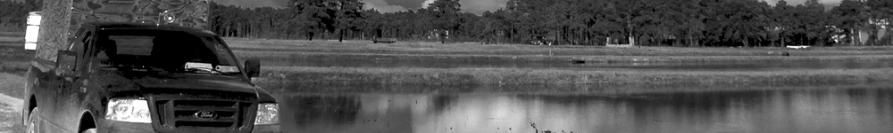 Random Header Image