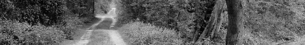 Random Header Image
