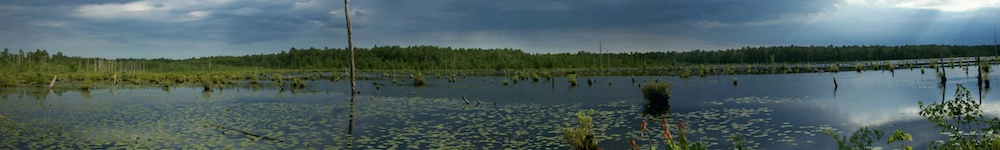 Random Header Image