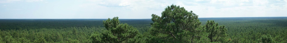 Random Header Image