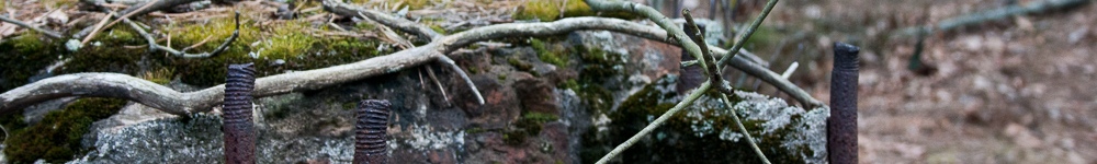 Random Header Image